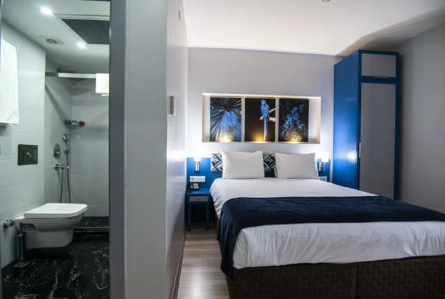 라피스 인 호텔 & 스파-Central Comfort Double Room- Prime Location-1