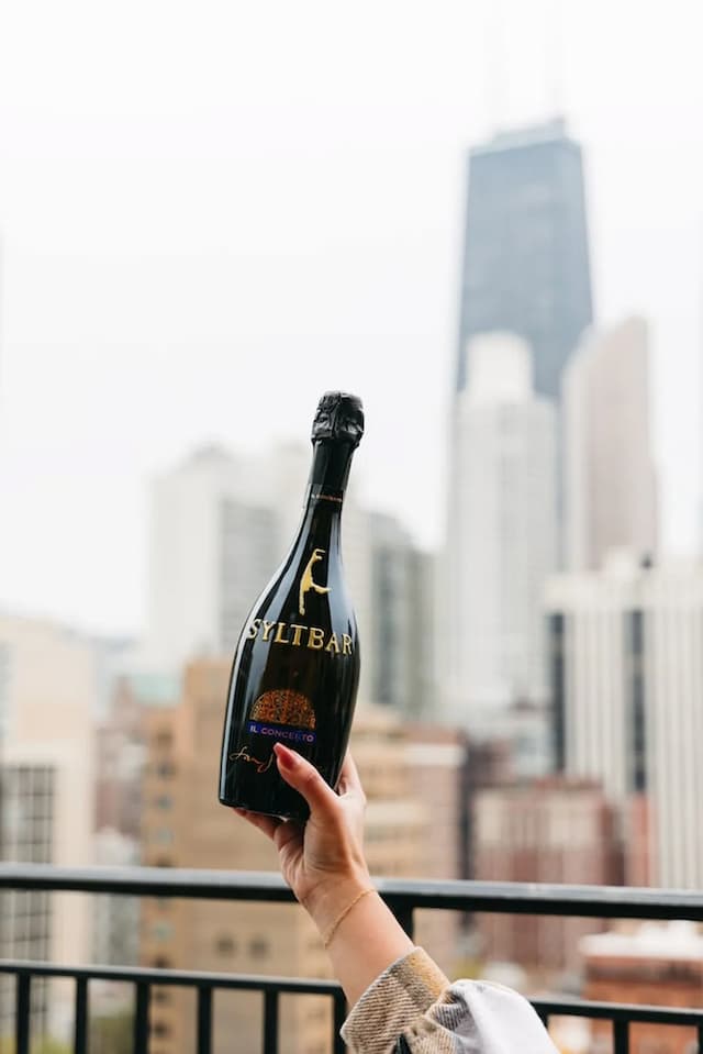 The Chicago Hotel Collection Ambassador Gold Coast-特色套房, 露台, 城市景观-4