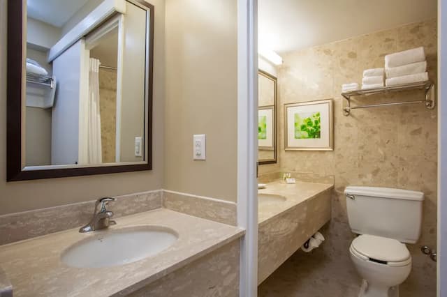 홀리데이 인 토론토 - 국제공항 바이 IHG-스탠다드룸, 퀸사이즈침대 2개-2