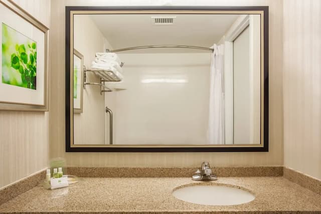 홀리데이 인 토론토 - 국제공항 바이 IHG-스탠다드룸, 퀸사이즈침대 2개-4