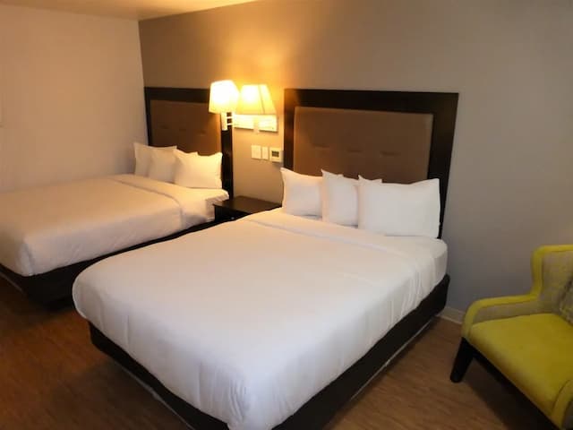 레드 루프 인 휴스턴 - 저지 빌리지-디럭스룸, 퀸사이즈침대 2개, 금연-3