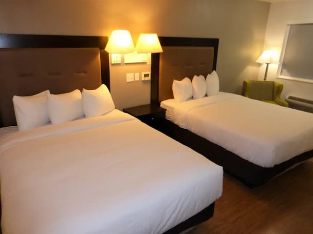 레드 루프 인 휴스턴 - 저지 빌리지-디럭스룸, 퀸사이즈침대 2개, 장애인 지원, 금연-2