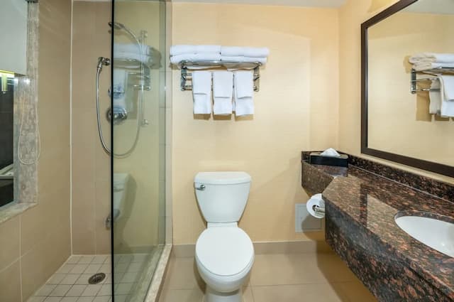 컴포트 인/여관 & 컨퍼런스 센터 토론토 에어포트-룸, 킹사이즈침대 1개, 금연-2