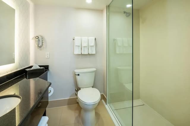 컴포트 인/여관 & 컨퍼런스 센터 토론토 에어포트-룸, 킹사이즈침대 1개, 금연-2