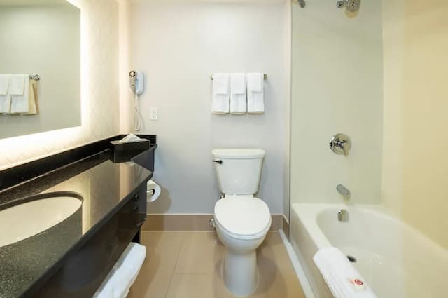 컴포트 인/여관 & 컨퍼런스 센터 토론토 에어포트-룸, 금연-3