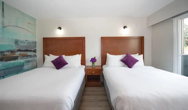 Coast Metro Vancouver Hotel-Room, 2 Queen Beds, Kitchenette (Coast)-4