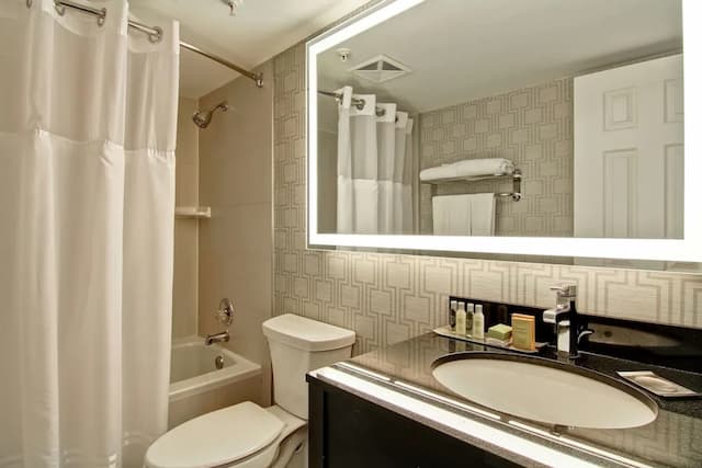 DoubleTree by Hilton Hotel Toronto Downtown-Premium Suite, 1 King Bed-5