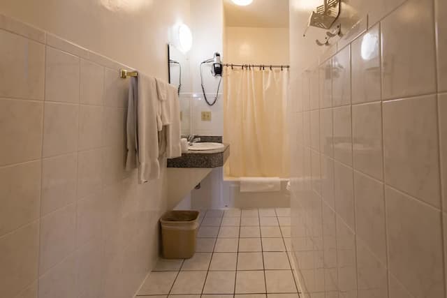 유니언 스퀘어 플라자 호텔-디럭스룸-10