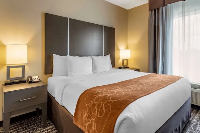 샘 휴스턴 레이스 파크 근처의 컴포트 스위트-스위트, 킹사이즈침대 1개 및 소파베드, 금연-1