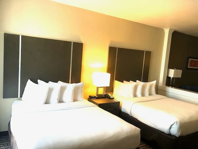 샘 휴스턴 레이스 파크 근처의 컴포트 스위트-스위트, 퀸사이즈침대 2개, 금연-5