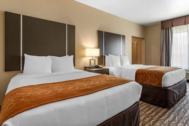 샘 휴스턴 레이스 파크 근처의 컴포트 스위트-스위트, 퀸사이즈침대 2개, 장애인 지원, 금연-1