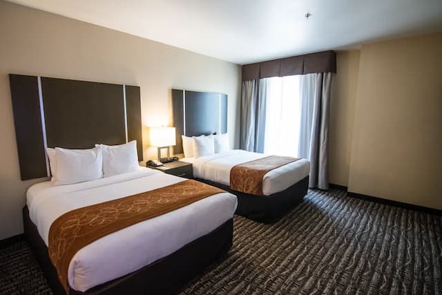 샘 휴스턴 레이스 파크 근처의 컴포트 스위트-디럭스 스위트, 퀸사이즈침대 2개, 금연-2