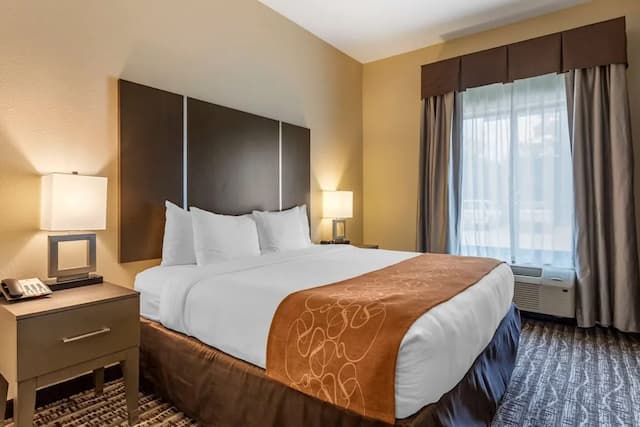 샘 휴스턴 레이스 파크 근처의 컴포트 스위트-스위트, 킹사이즈침대 1개 및 소파베드, 장애인 지원, 금연-1