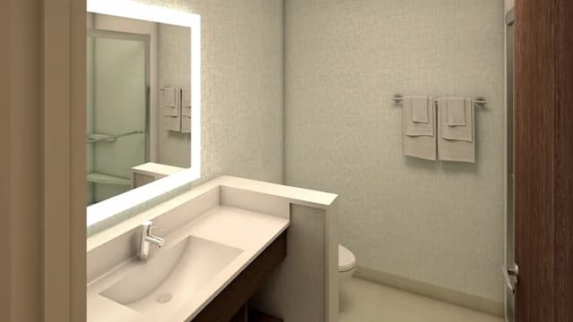 홀리데이 인 익스프레스 & 스위트 휴스턴 이스트 - 벨트웨이 8 바이 IHG-스탠다드룸, 킹사이즈침대 1개, 장애인 지원 (Mobility, Transfer Shower)-4