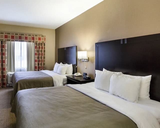 퀄리티 스위트 휴스턴 NW 사이-페어-스위트, 퀸사이즈침대 2개, 금연-3