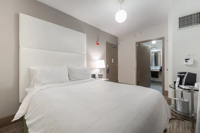 Holiday Inn Express Chicago - Magnificent Mile by IHG-Standard Room, 1 Queen Bed, Accessible (Mobility)-4