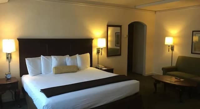 인 앳 버지니아 메이슨-스탠다드 스위트, 킹사이즈침대 1개 (King Junior Suite)-1