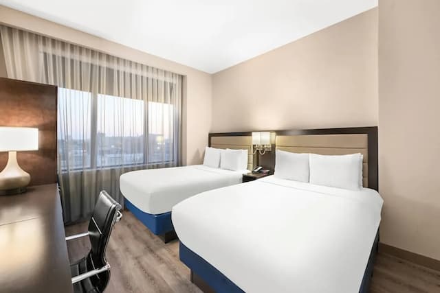 Comfort Inn Prospect Park - Brooklyn-标准房, 2 张双人床, 无烟房-6