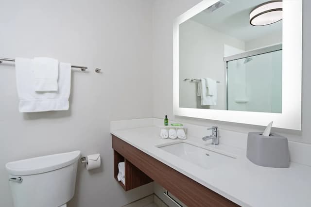 Holiday Inn Express Hotel & Suites SeaTac by IHG-标准房, 1 张特大床-4