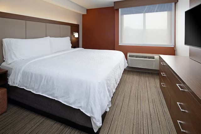 Holiday Inn Express Hotel & Suites SeaTac by IHG-标准房, 1 张特大床-1