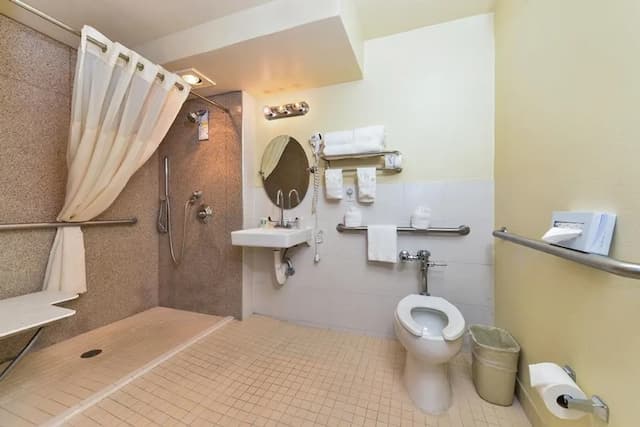 Quality Inn & Suites Montebello - Los Angeles-客房, 1 张特大床, 无障碍, 无烟房-5