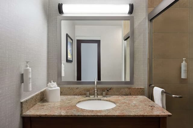 Hampton Inn Manhattan/Downtown-Financial District-开间套房, 1 张特大床和 1 张沙发床, 无烟房-10