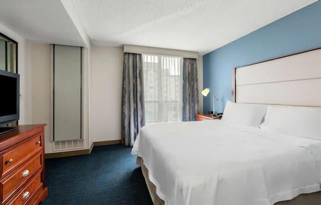 홈우드 스위트 바이 힐튼 시애틀 다운타운-스위트, 침실 1개 (1 King Bed with Sofa bed)-3