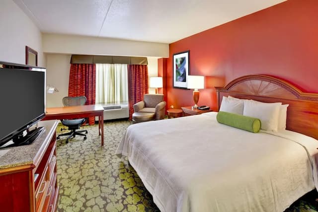 Hilton Garden Inn Chicago/Midway Airport-标准房, 1 张特大床-2
