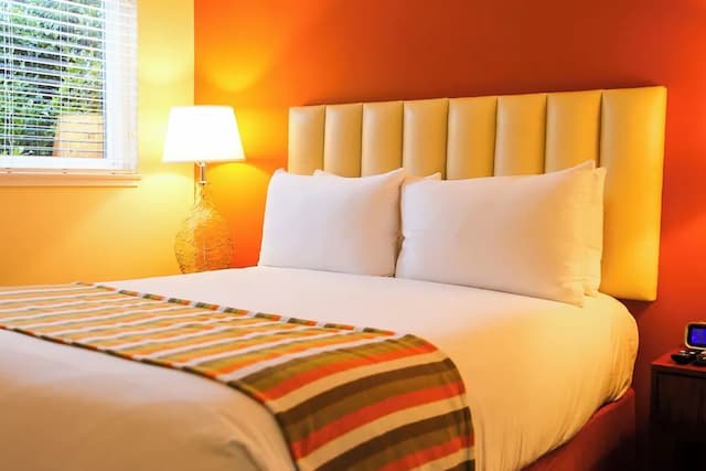 호텔 델 솔-디럭스룸, 킹사이즈침대 1개-2