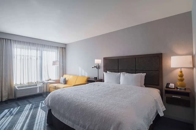 Hampton Inn Chicago North-Loyola Station-客房, 1 张特大床和 1 张沙发床, 无烟房, 冰箱-4