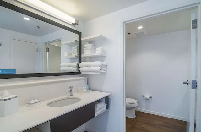 Hampton Inn Chicago North-Loyola Station-套房, 1 张特大床, 无烟房, 冰箱和微波炉-5