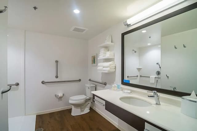 Hampton Inn Chicago North-Loyola Station-客房, 2 张大床, 无障碍 (Roll In Shower, Mobility)-5