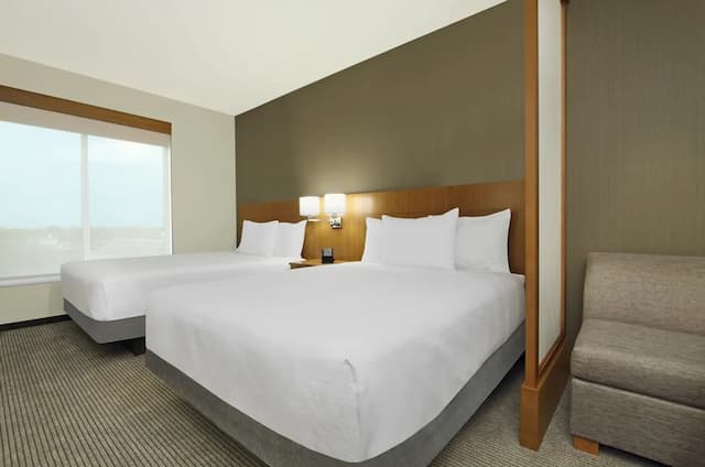 ハイアット プレイス ヒューストン ノースウェスト ヴィンテージ パーク-ルーム ベッド (複数台) (2 Queen and 1 Sofa Bed)-1