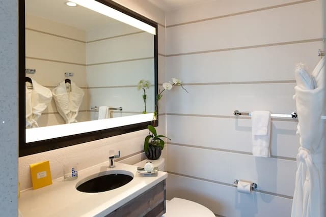 호텔 르 블뢰-Signature Collection Deluxe King Terrace Manhattan View-4