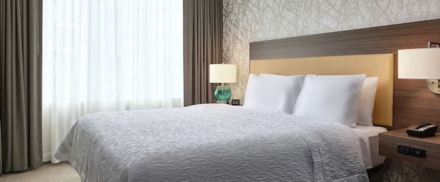 ホーム 2 スイーツ バイ ヒルトン シカゴ マコーミック プレイス-スイート キングベッド 1 台 バリアフリー 浴槽-3