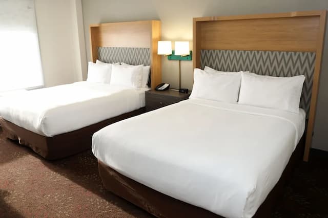 Holiday Inn Chicago O'Hare Area by IHG-标准房, 2 张大床-6
