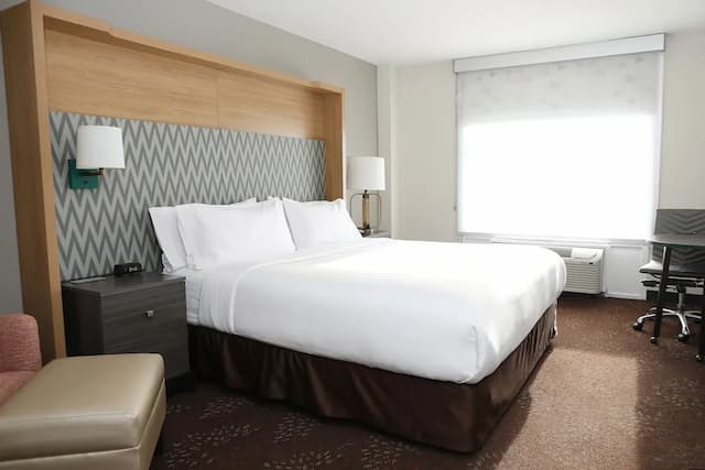 Holiday Inn Chicago O'Hare Area by IHG-标准房, 1 张特大床-8