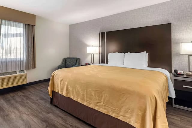 Quality Inn Burbank Airport-Standard Room, 1 King Bed, Non Smoking-1