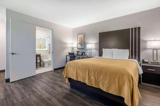 Quality Inn Burbank Airport-Standard Room, 1 Queen Bed, Non Smoking-3