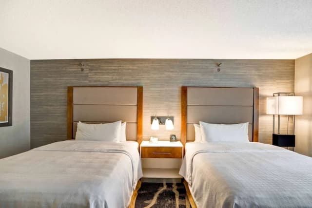 Homewood Suites by Hilton Chicago-Downtown-套房, 无烟房 (2 Queen Beds with Sofabed)-1