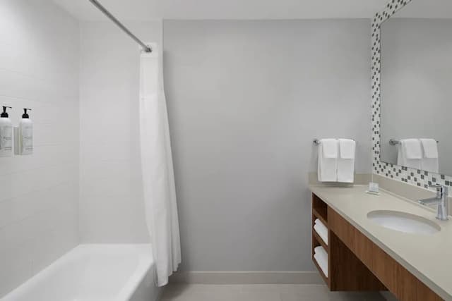 スプリングヒル スイーツ バイ マリオット ヒューストン インターコンチネンタル エアポート-スタジオ ベッド (複数台)-6