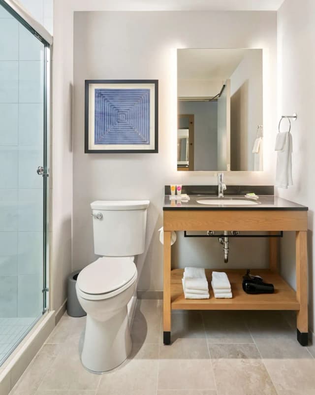 Hyatt Place Chicago Medical/University District-客房, 1 张特大床-5