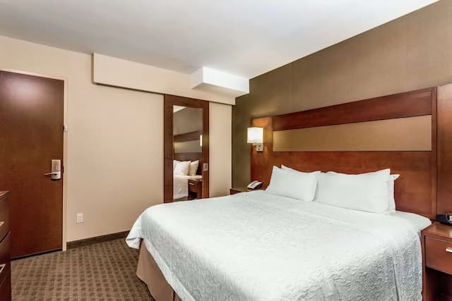 햄프턴 인 맨해튼 그랜드 센트럴-룸, 킹사이즈침대 1개-3