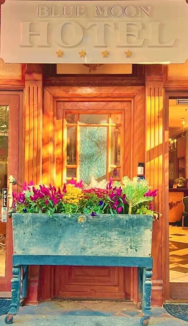 히스토릭 블루 문 호텔 - NYC-슈피리어룸, 침실 1개, 시내 전망-8