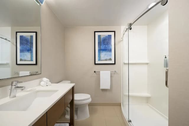 Courtyard Los Angeles L.A. LIVE-客房, 1 张特大床和 1 张沙发床-6