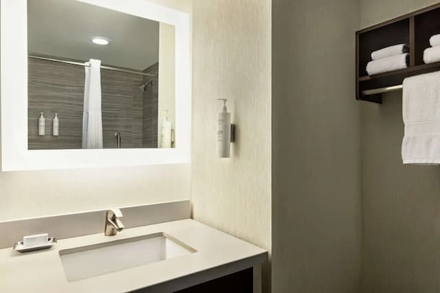 ハンプトン イン サンフランシスコ ダウンタウン / コンベンション センター-ルーム キングベッド 1 台 冷蔵庫 シティビュー-17