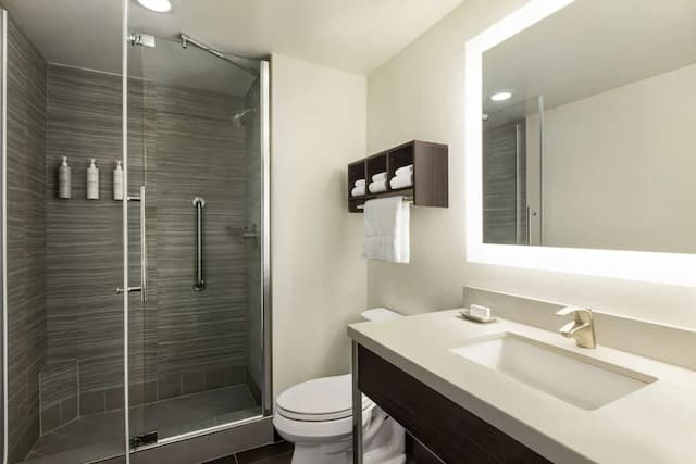 ハンプトン イン サンフランシスコ ダウンタウン / コンベンション センター-ルーム キングベッド 1 台 冷蔵庫-16