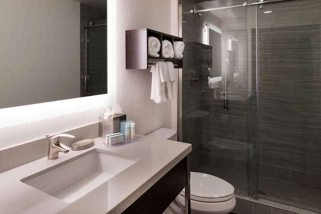 ハンプトン イン サンフランシスコ ダウンタウン / コンベンション センター-ルーム クイーンベッド 2 台 冷蔵庫-12