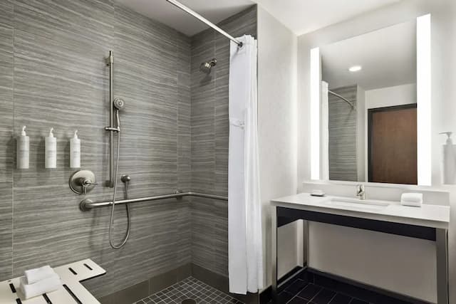 ハンプトン イン サンフランシスコ ダウンタウン / コンベンション センター-ルーム キングベッド 1 台 バリアフリー 浴槽-18