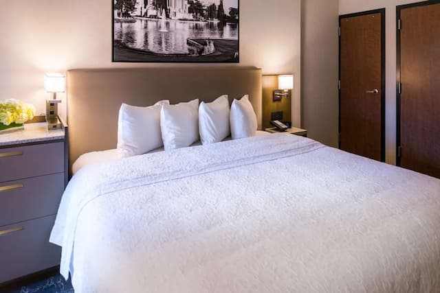 ハンプトン イン サンフランシスコ ダウンタウン / コンベンション センター-ルーム キングベッド 1 台 バリアフリー (Mobility & Hearing)-10